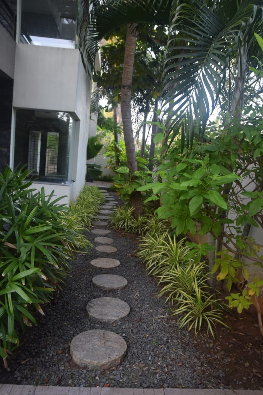 Garden 1