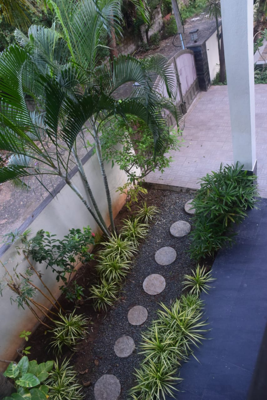 Garden 3