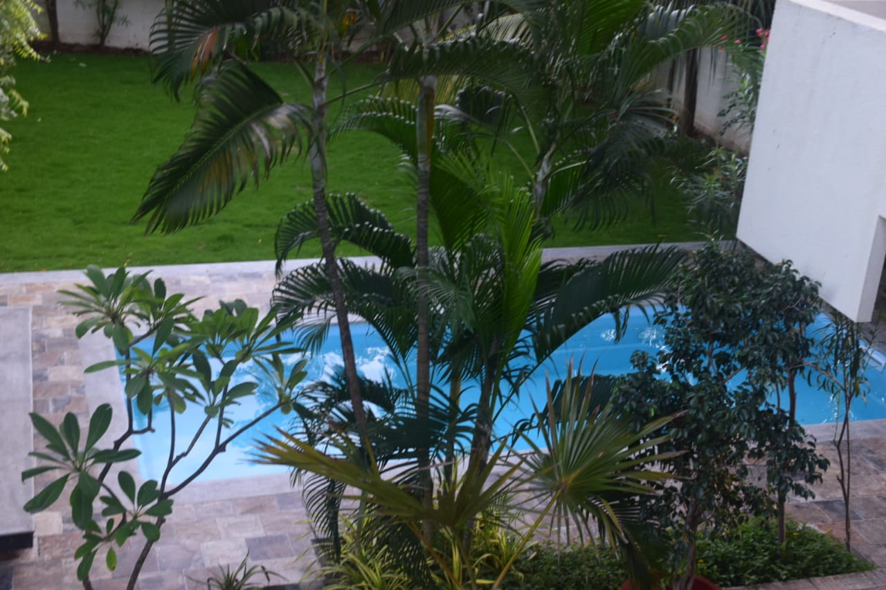 Swimming Pool 3