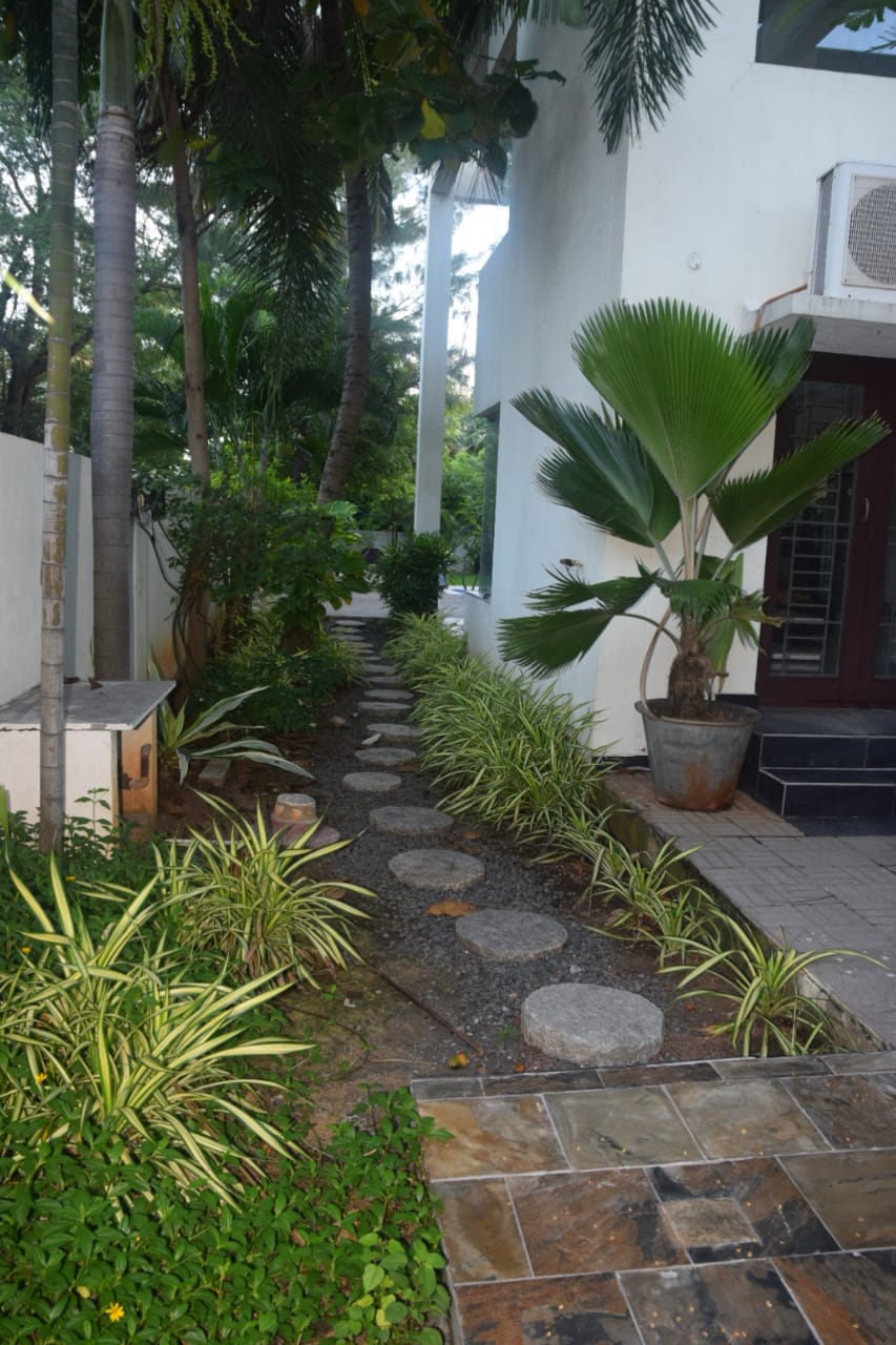 Luxury resort stay